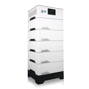 ذخیره ساز انرژی برق 5 کیلوواتی مدل ESN-5125001-LFOESS